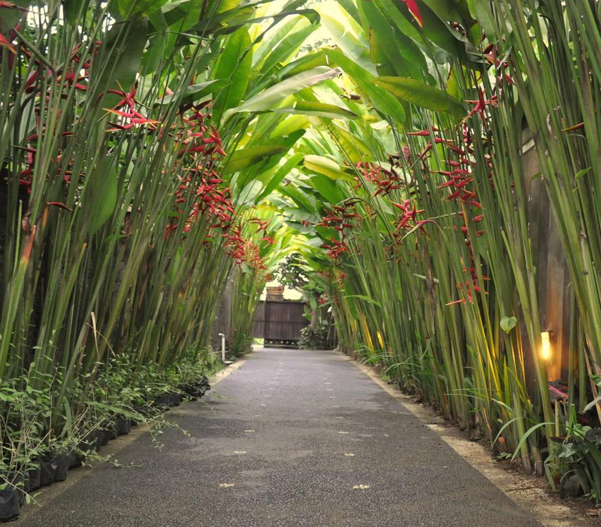 Kubudiuma Villas Bali Canggu  Luaran gambar