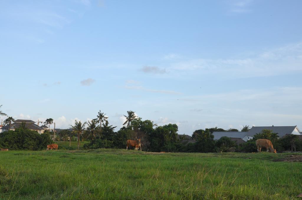 Kubudiuma Villas Bali Canggu  Luaran gambar